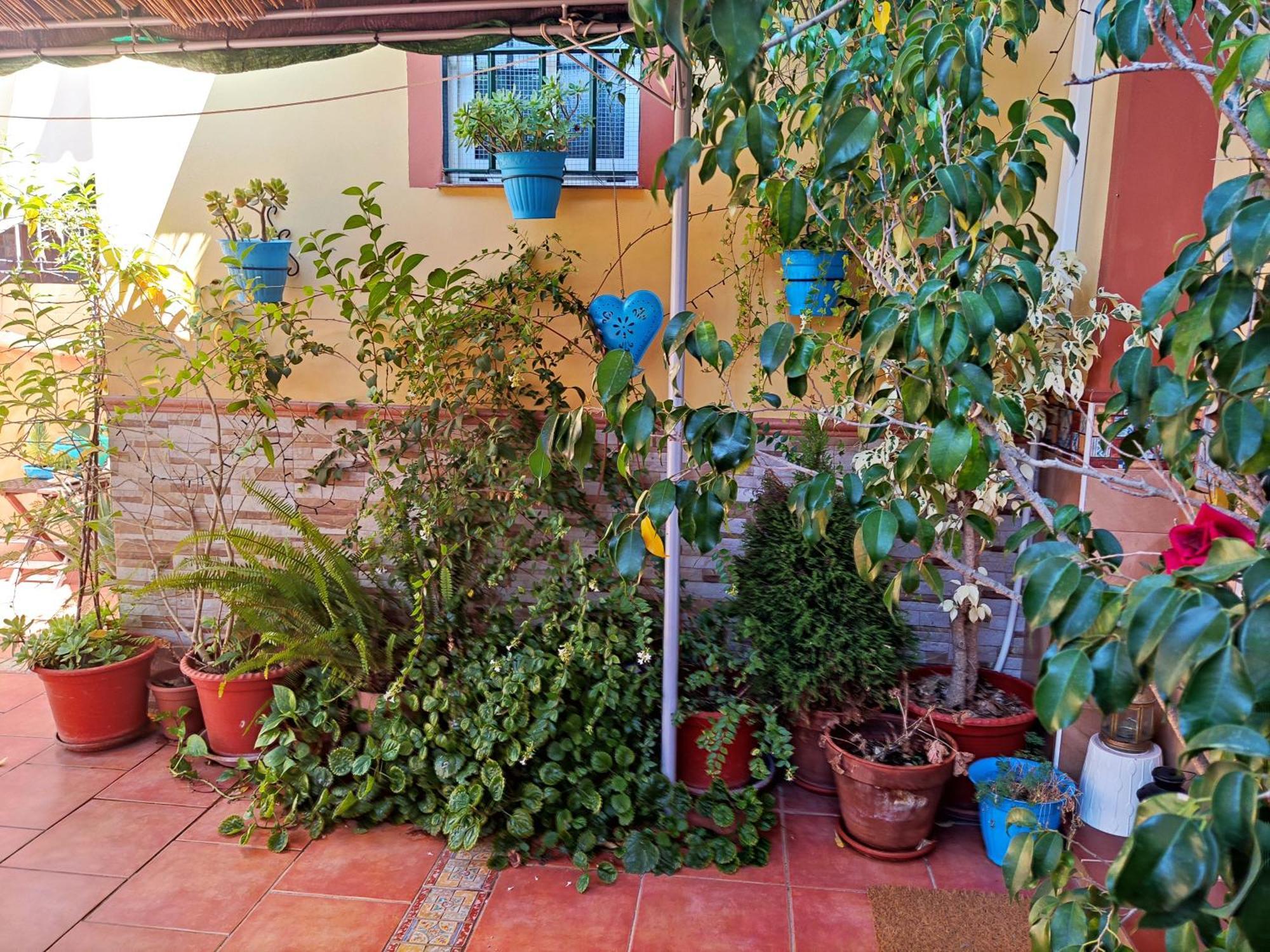 Apartamento Cool Garden ไมเรียนา เดล อัลคาราเฟ ภายนอก รูปภาพ