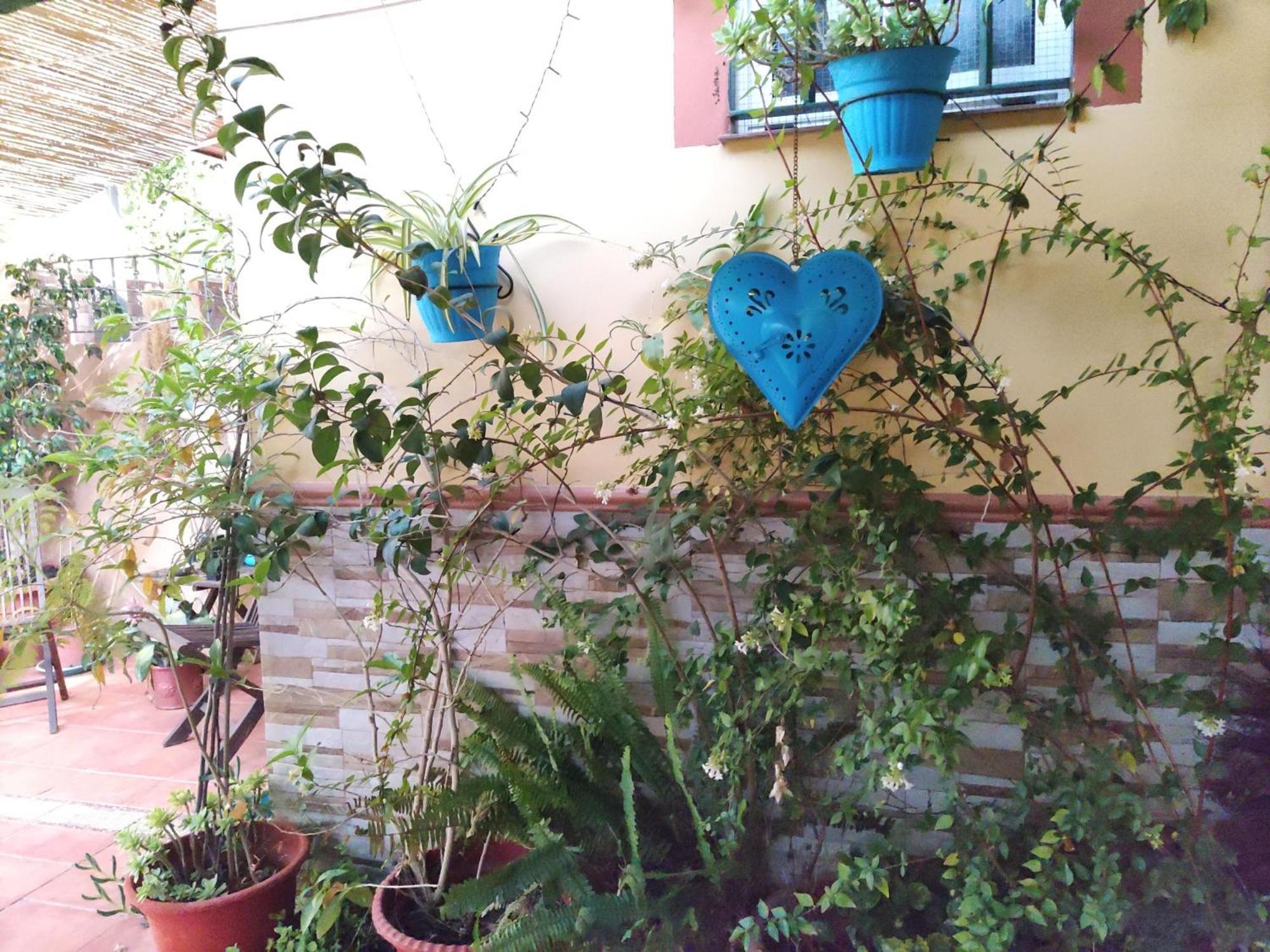 Apartamento Cool Garden ไมเรียนา เดล อัลคาราเฟ ภายนอก รูปภาพ