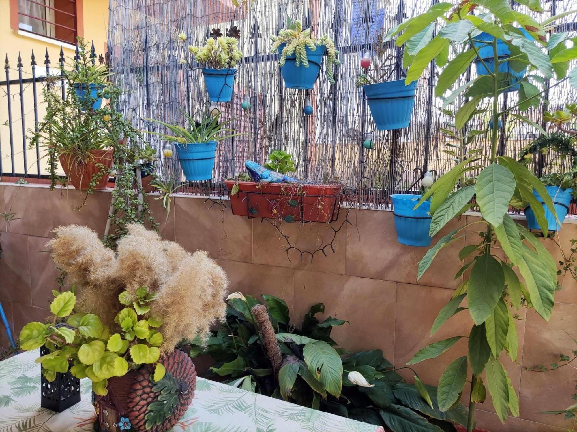 Apartamento Cool Garden ไมเรียนา เดล อัลคาราเฟ ภายนอก รูปภาพ